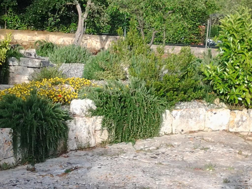 B&B Tenuta Ranieri Selva Di Fasano Exterior photo